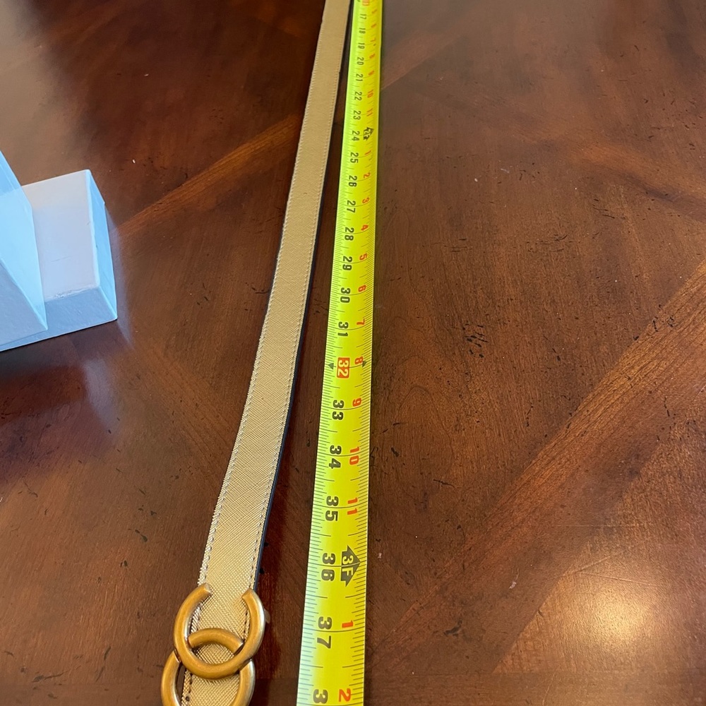 Gold Color Belt! - Picture 5 of 7